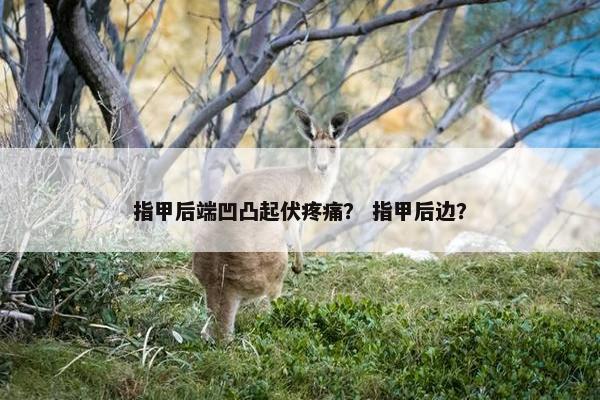 指甲后端凹凸起伏疼痛？ 指甲后边？