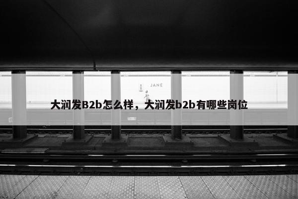 大润发B2b怎么样,大润发b2b有哪些岗位