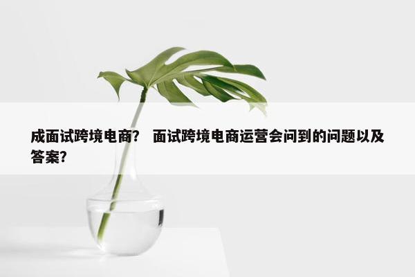 成面试跨境电商? 面试跨境电商运营会问到的问题以及答案?