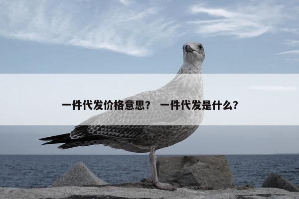 一件代发价格意思？ 一件代发是什么？