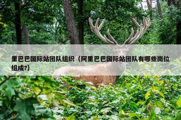 里巴巴国际站团队组织（阿里巴巴国际站团队有哪些岗位组成?）