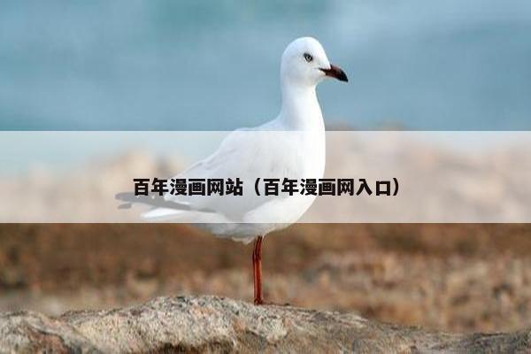 百年漫画网站(百年漫画网入口)