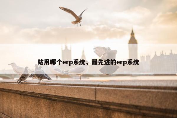 站用哪个erp系统，最先进的erp系统