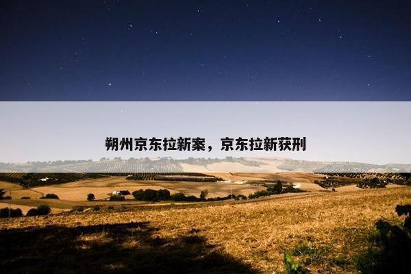 朔州京东拉新案，京东拉新获刑