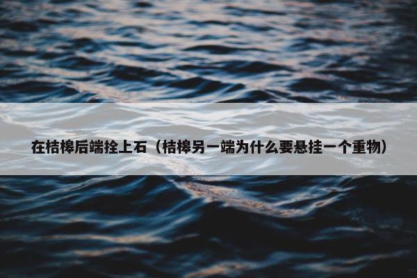 在桔槔后端拴上石（桔槔另一端为什么要悬挂一个重物）