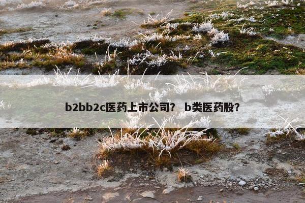 b2bb2c医药上市公司？ b类医药股？