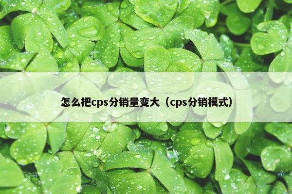 怎么把cps分销量变大(cps分销模式)