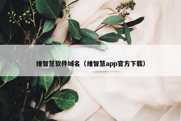 维智慧软件域名(维智慧app官方下载)