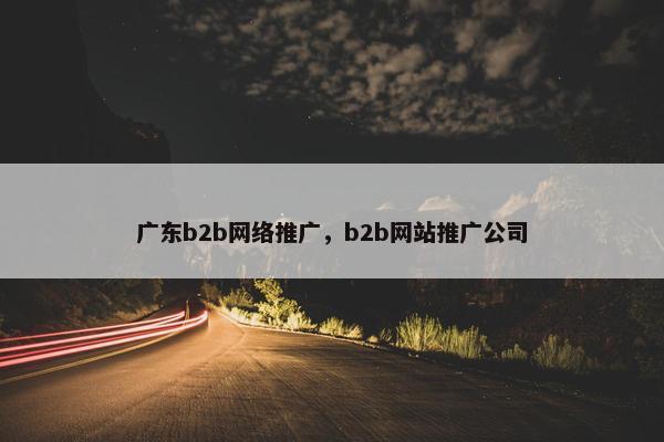 广东b2b网络推广,b2b网站推广公司