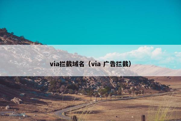 via拦截域名（via 广告拦截）
