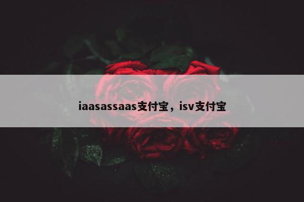 iaasassaas支付宝，isv支付宝