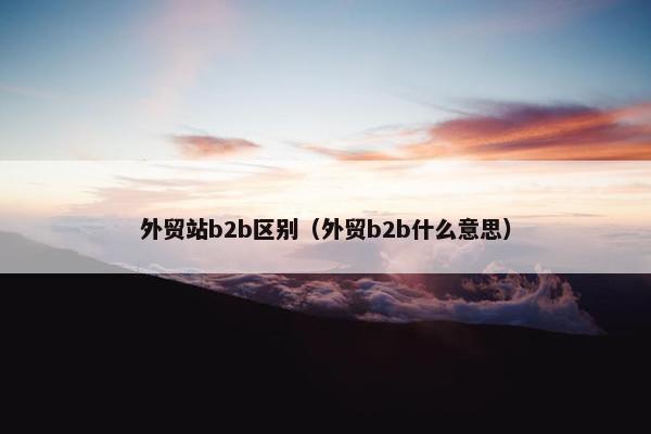 外贸站b2b区别（外贸b2b什么意思）