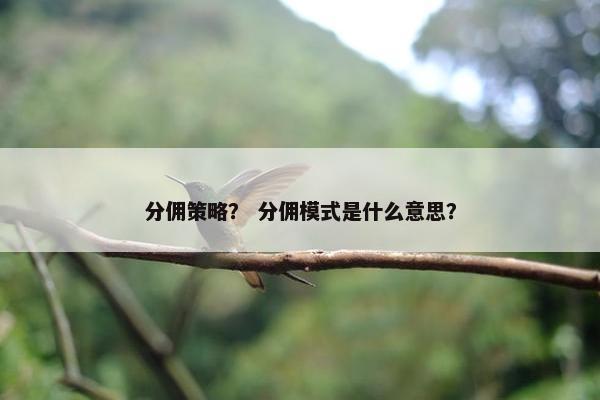 分佣策略？ 分佣模式是什么意思？