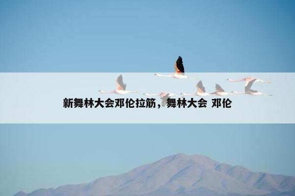 新舞林大会邓伦拉筋，舞林大会 邓伦