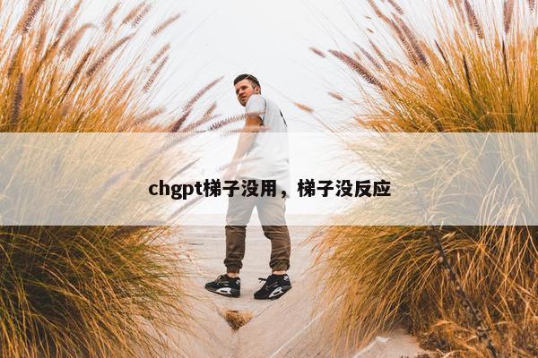 chgpt梯子没用，梯子没反应