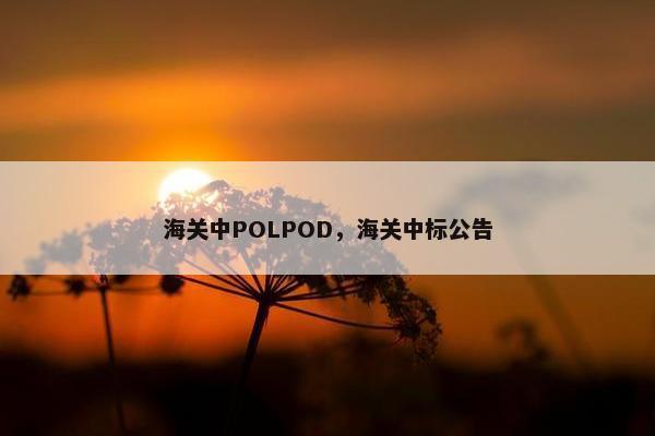 海关中POLPOD,海关中标公告