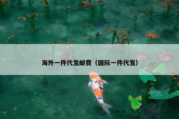 海外一件代发邮费（国际一件代发）
