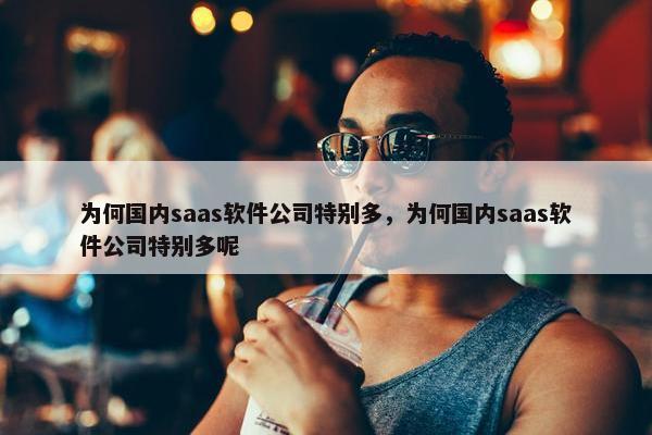 为何国内saas软件公司特别多,为何国内saas软件公司特别多呢