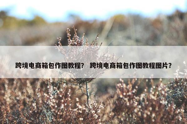 跨境电商箱包作图教程？ 跨境电商箱包作图教程图片？