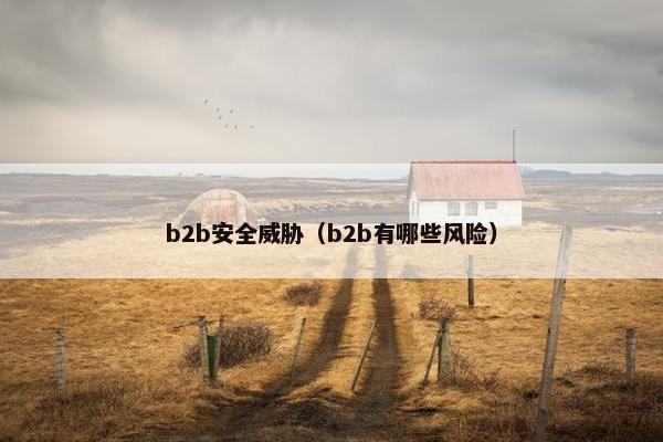 b2b安全威胁（b2b有哪些风险）