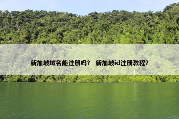 新加坡域名能注册吗? 新加坡id注册教程?