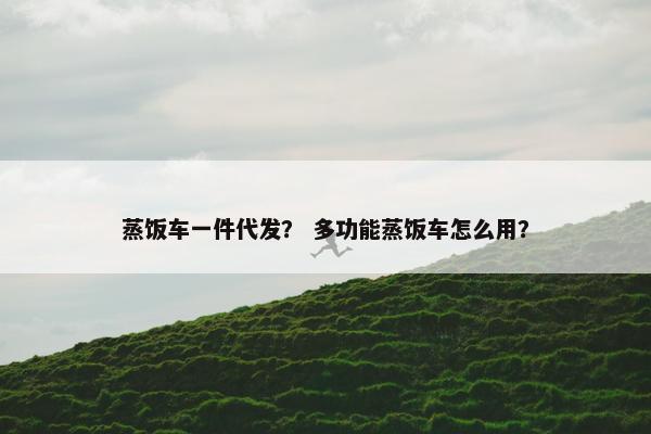 蒸饭车一件代发？ 多功能蒸饭车怎么用？