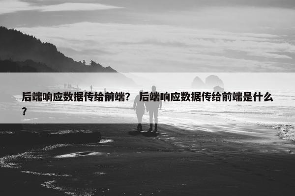 后端响应数据传给前端? 后端响应数据传给前端是什么?