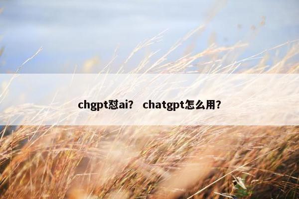 chgpt怼ai？ chatgpt怎么用？