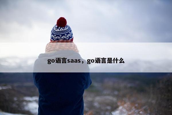 go语言saas,go语言是什么