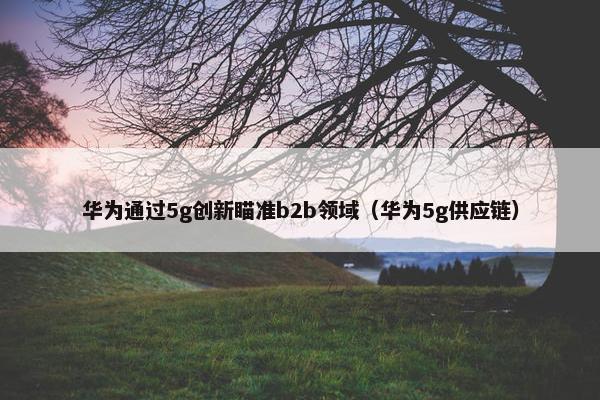 华为通过5g创新瞄准b2b领域（华为5g供应链）