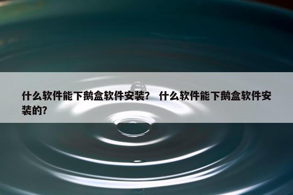 什么软件能下鹅盒软件安装？ 什么软件能下鹅盒软件安装的？
