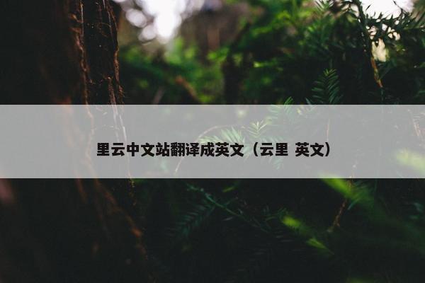 里云中文站翻译成英文（云里 英文）