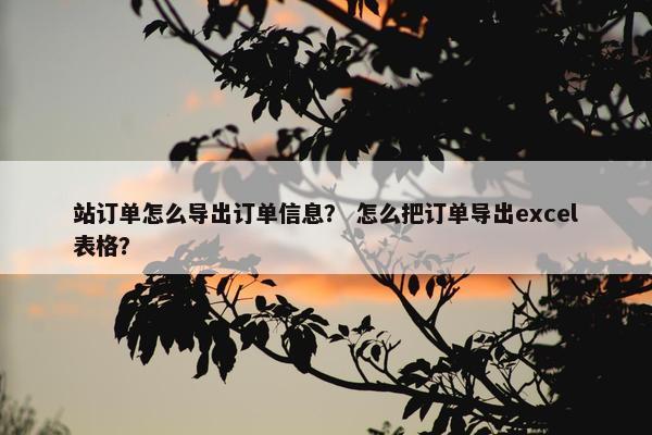 站订单怎么导出订单信息？ 怎么把订单导出excel表格？