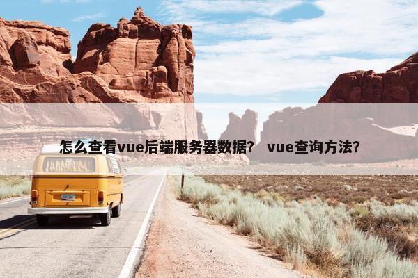 怎么查看vue后端服务器数据？ vue查询方法？