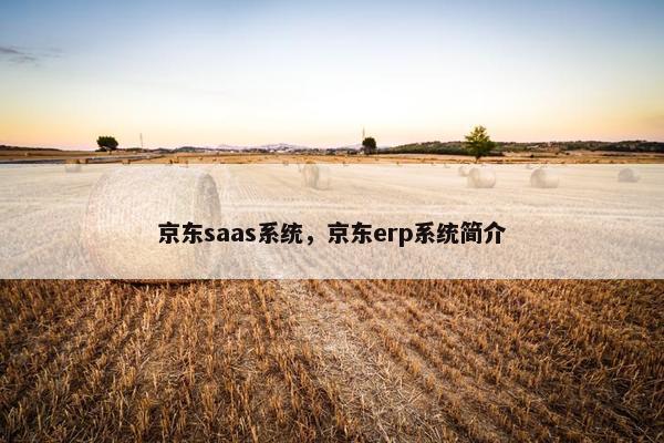 京东saas系统，京东erp系统简介