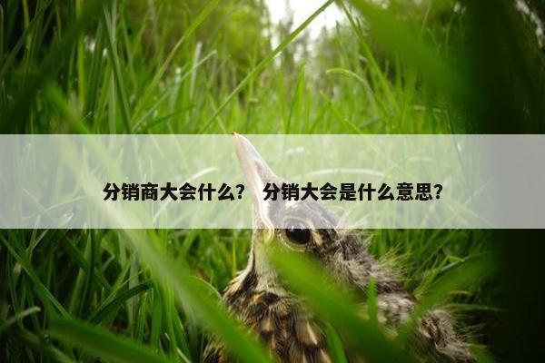 分销商大会什么？ 分销大会是什么意思？