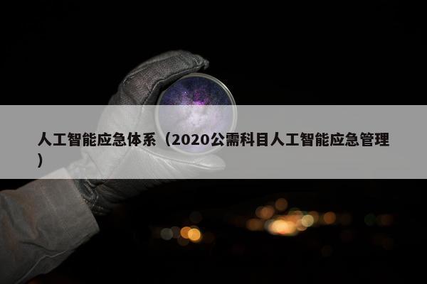 人工智能应急体系（2020公需科目人工智能应急管理）