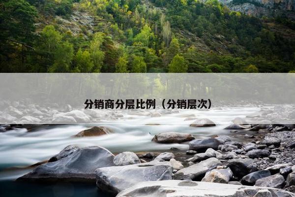 分销商分层比例（分销层次）