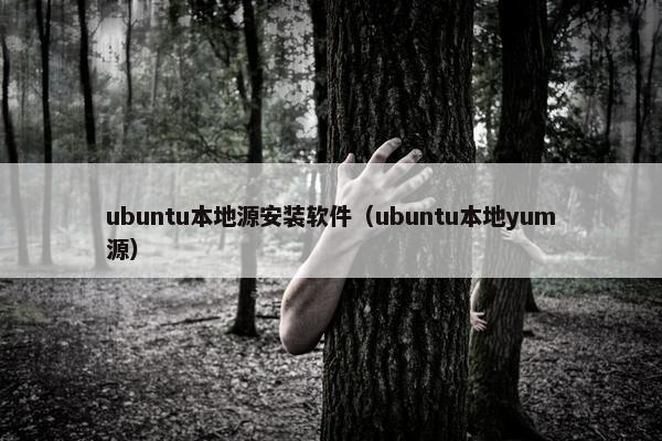 ubuntu本地源安装软件（ubuntu本地yum源）