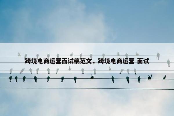 跨境电商运营面试稿范文，跨境电商运营 面试
