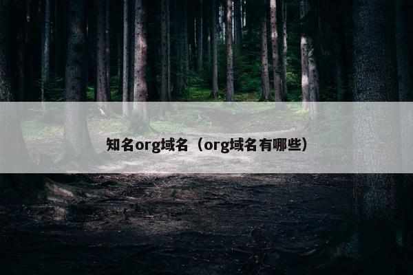 知名org域名（org域名有哪些）
