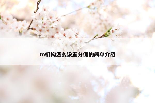 m机构怎么设置分佣的简单介绍 m机构怎么设置分佣的简单介绍