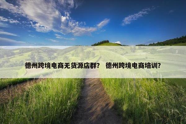 德州跨境电商无货源店群? 德州跨境电商培训?