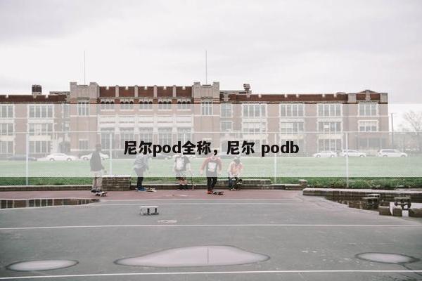 尼尔pod全称，尼尔 podb