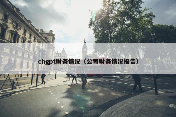 chgpt财务情况（公司财务情况报告）