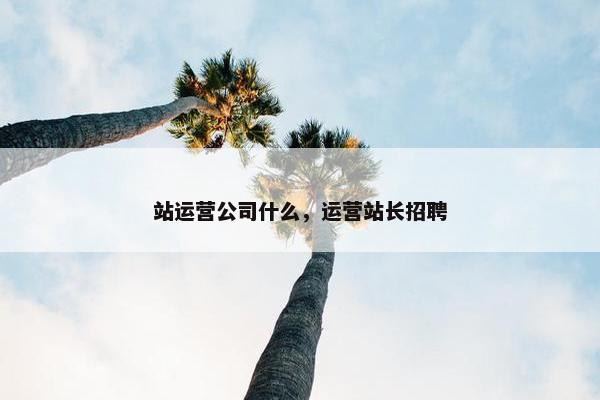 站运营公司什么，运营站长招聘