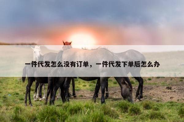 一件代发怎么没有订单，一件代发下单后怎么办