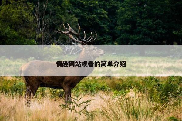 情趣网站观看的简单介绍