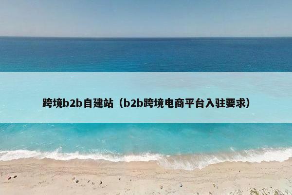 跨境b2b自建站（b2b跨境电商平台入驻要求）