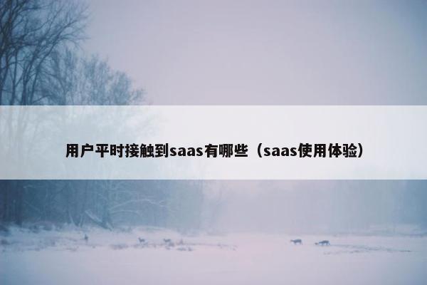 用户平时接触到saas有哪些（saas使用体验）